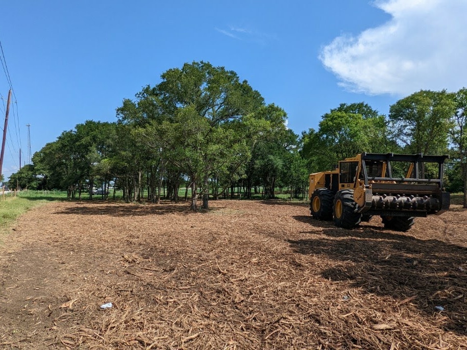 Clayton North Carolina Land Clearing